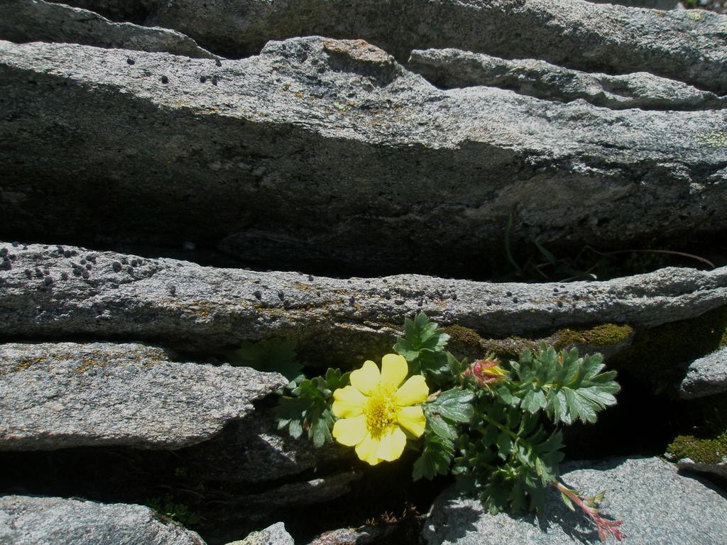 Klampererhof Virgen