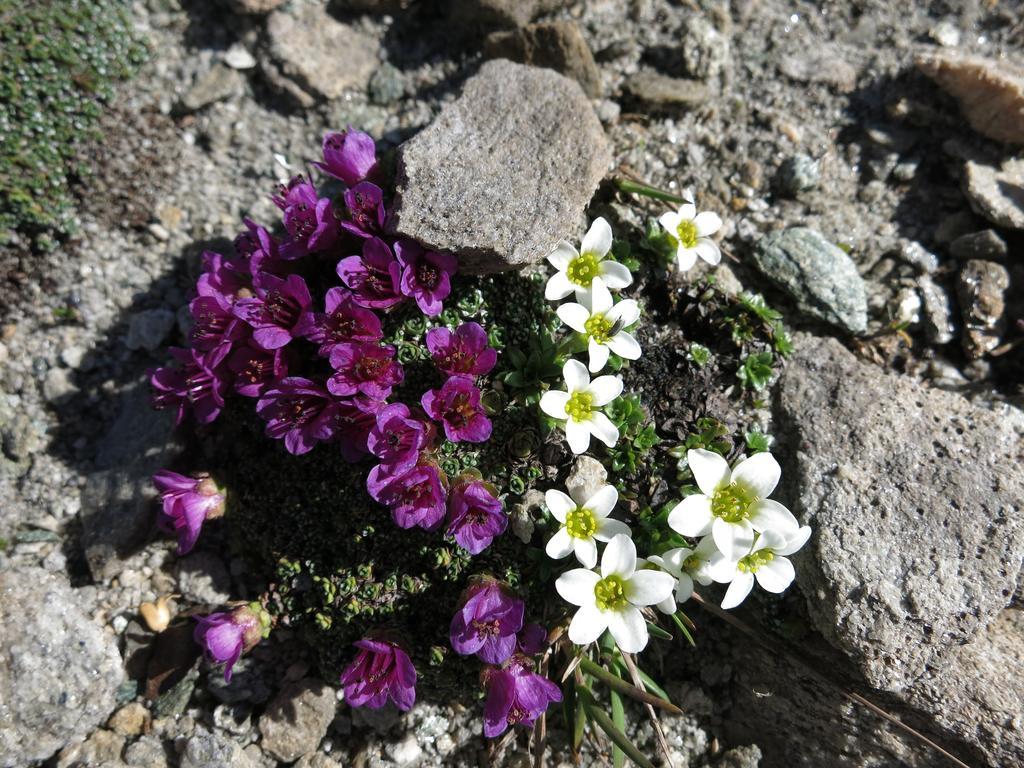 Bauernhof Klampererhof