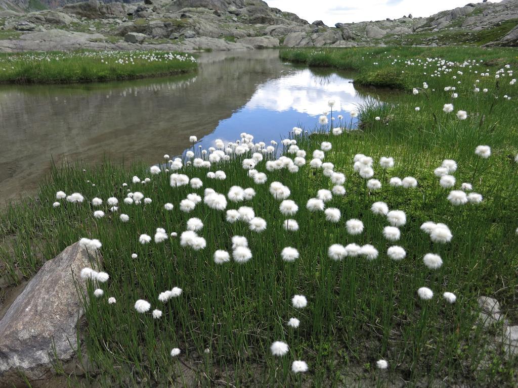 Klampererhof