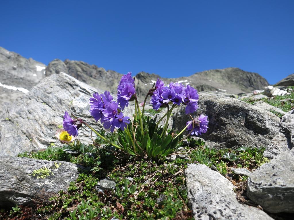 Bauernhof Klampererhof