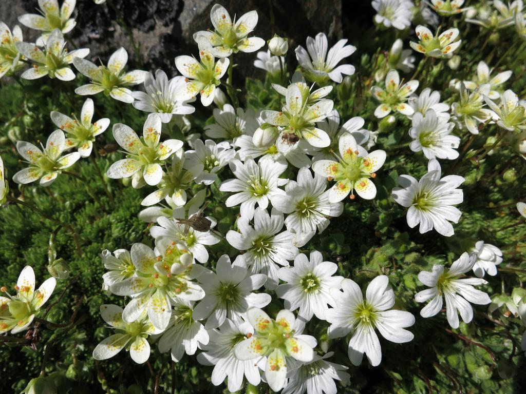 Bauernhof Klampererhof *