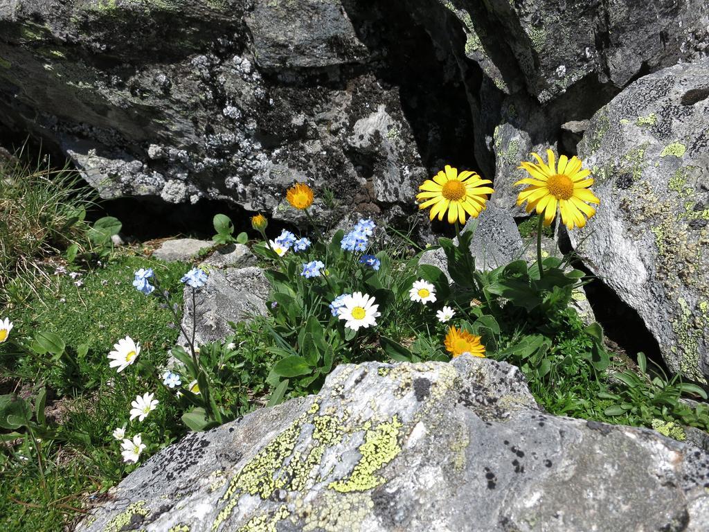 Klampererhof * Virgen