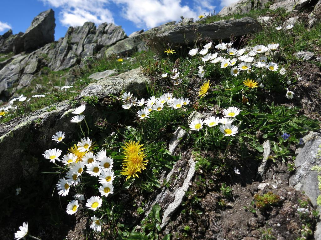 Klampererhof Bauernhof *