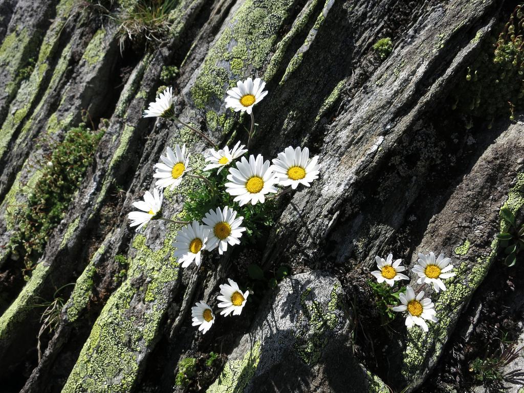 Klampererhof *