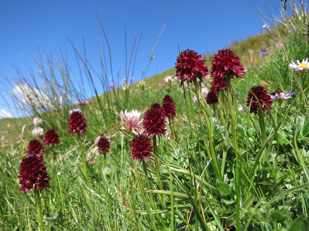 Klampererhof