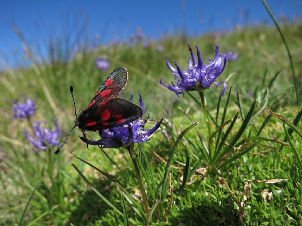 Klampererhof