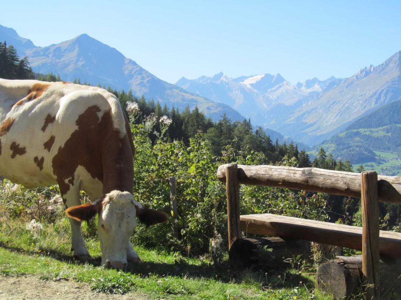 Klampererhof Bauernhof