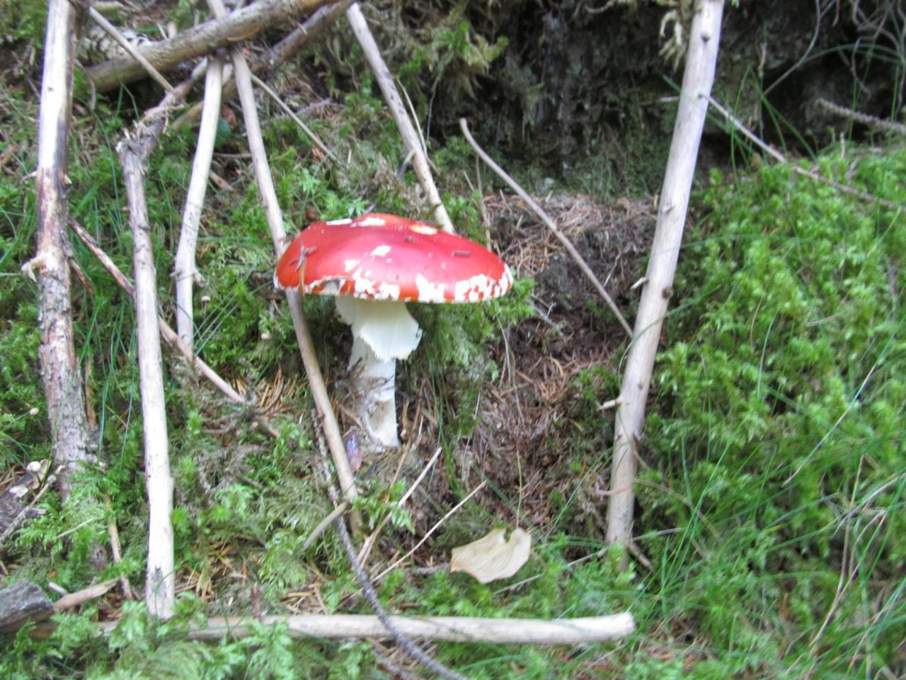 Klampererhof